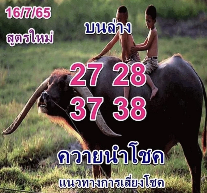 ควายนำโชค สูตรใหม่ งวด 16/7/65